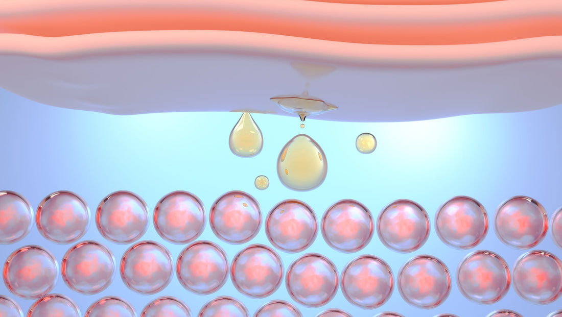 Why Ballistol Works Under Water: The Science Behind Emulsification
