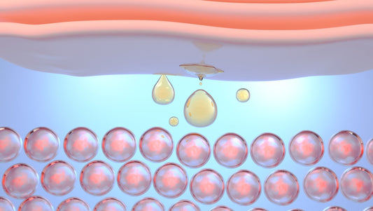 Why Ballistol Works Under Water: The Science Behind Emulsification